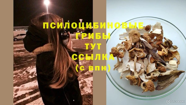 тгк Иннополис