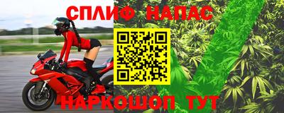 СК Кинель