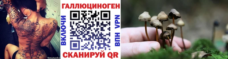 Псилоцибиновые грибы Magic Shrooms Махачкала