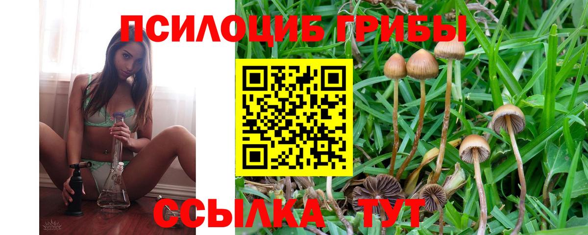 Галлюциногенные грибы мухоморы  Псилоцибиновые грибы прущие грибы  Махачкала  Вход с VPN 